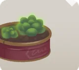 ブリキ缶と電気植物