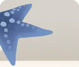砂浜で拾ったヒトデ