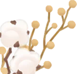 綿花と枯草