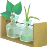 原生林の植物の研究セット