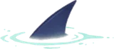 泳ぐサメの背びれ