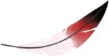 ダークフォレストの羽