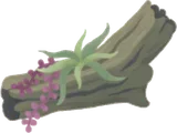 枯れ木のオブジェ