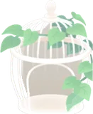 蔦が伸びた鳥かご