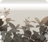 曇り空の草花