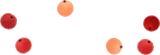 溢れた赤い果実