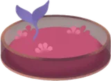 小さなシャーレで育つ木の芽