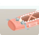 ペーパークラフトのトゥシューズ