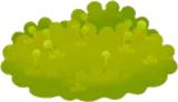 密集して生えた苔