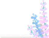 オーロラの森のエリカ