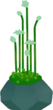 背高小花の鉢