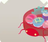 リヴリー用寿司桶