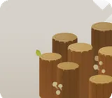 丸太の足場