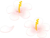 リゾート地の小さな造花