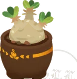 小さいゲストハウスの植木