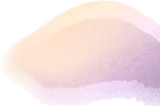 ひっそりと積もった雪