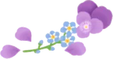 ビオラと勿忘草