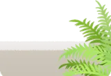 大きめの観葉植物