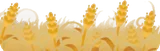 熱気に照らされる穂