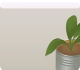 空き缶のプランター
