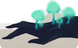 朽ち木に生えたユウレイキノコ