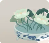 白陶に入った蓮の花