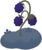 小さな紫の野苺
