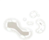 水の泡・下