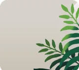 鬱蒼と茂った植物・右
