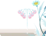 霧の森に咲く花々