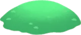原生林の地面