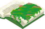 錬金術の本の地面
