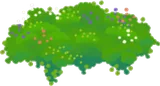 知恵の草花の地面