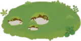 何かが穴をあけた地面