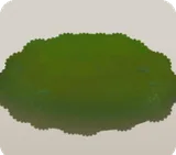 苔むしたステージ