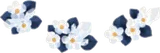 小さく透明な花の茂み