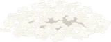 舞い散る光の花の絨毯