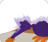 アフロディナスのぬいぐるみの体