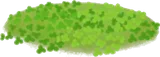 クローバーの丘