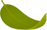 敷き笹