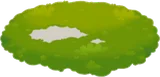 穴の空いた苔の絨毯