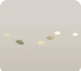 床に落ちた花びらと葉っぱ