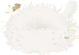 羽毛の巣