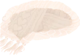 ふわもこニットマフラー
