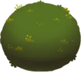 ころんとした苔玉