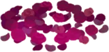 赤薔薇の散る丘