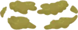 周囲に生えた柔らかい苔