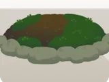 苔の生えた土