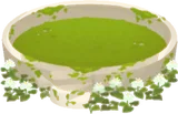 苔むしたヤエドクダミの空さ地