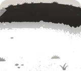 枯草の原っぱ